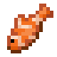 Exotic Tropical Fish